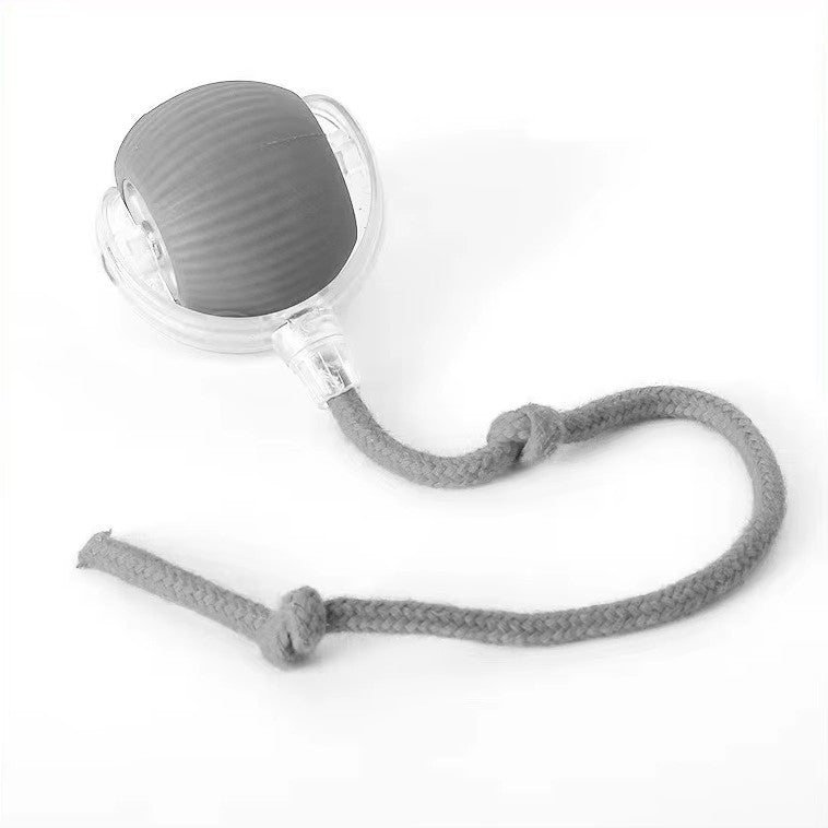 Interactive pet ball