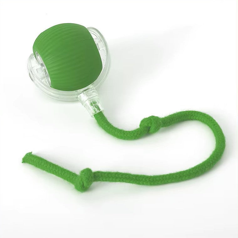 Interactive pet ball