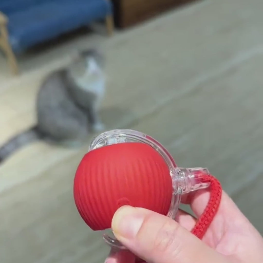 Interactive pet ball