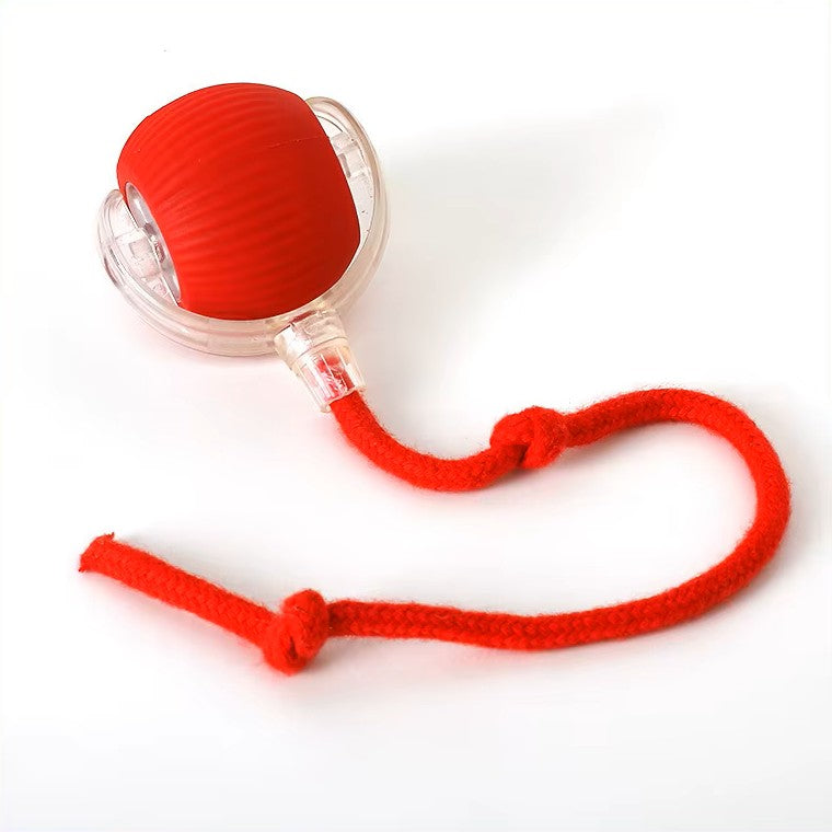 Interactive pet ball